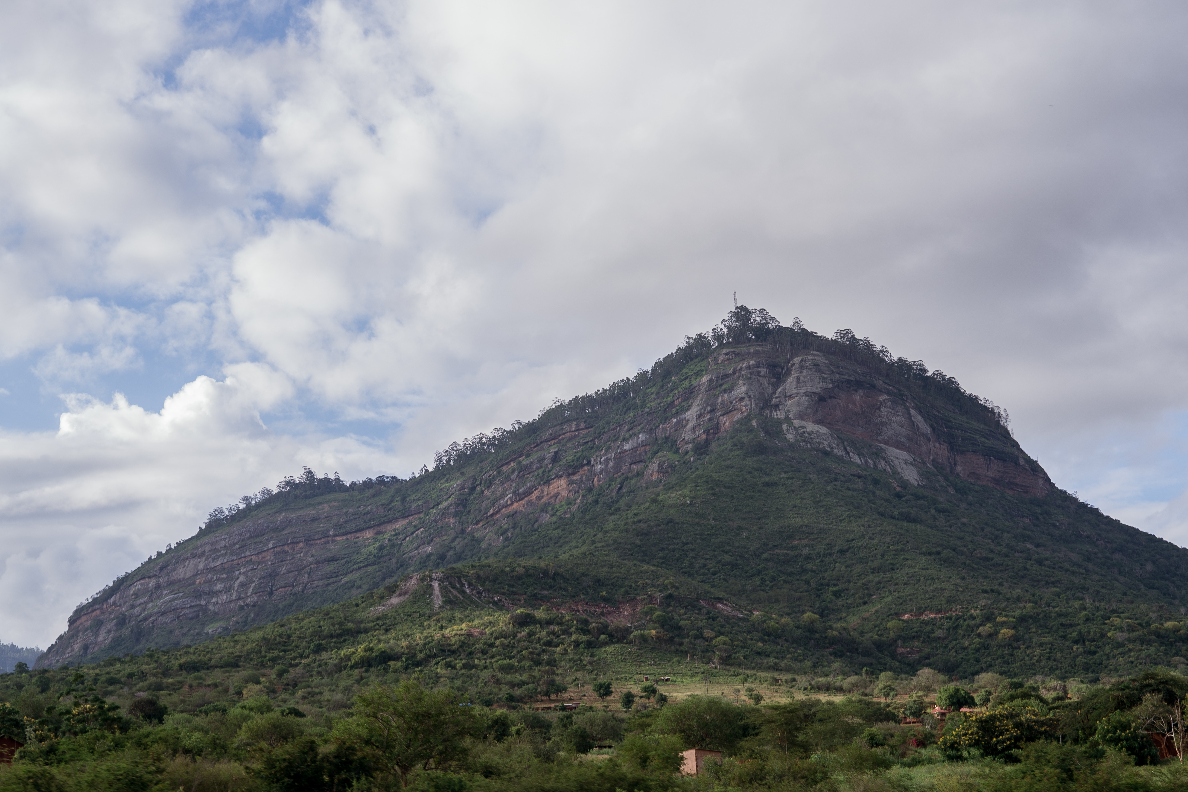 Community Forest Restoration