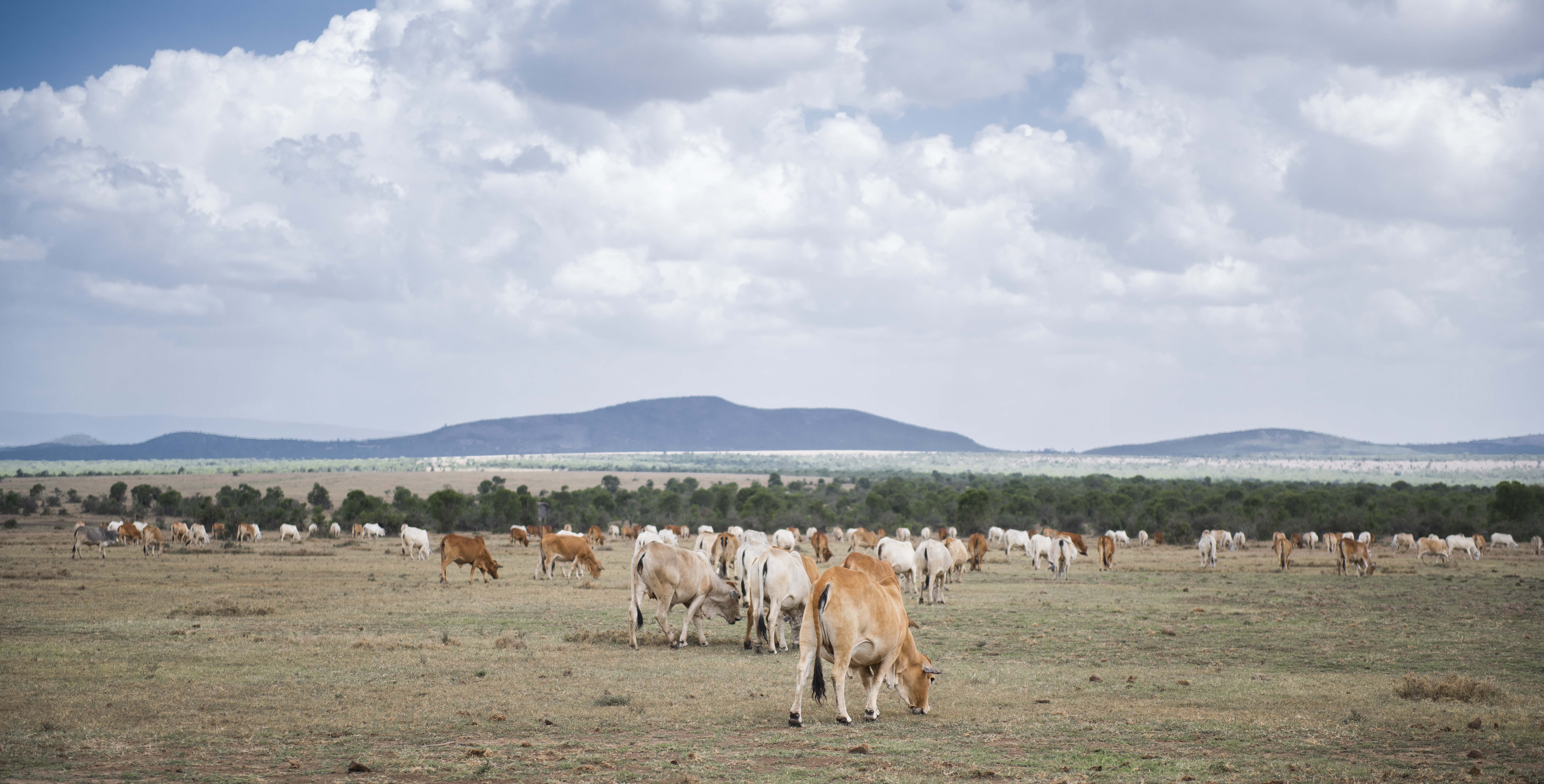 Sustainable Farming
